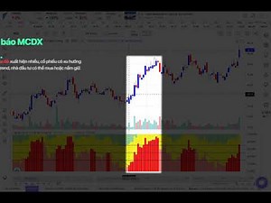 Nắm bắt dòng tiền nhà tạo lập với chỉ báo MCDX trên Fialda Web Terminal