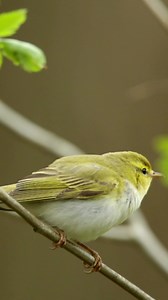 212K views · 11K reactions | First light captures of the season! This...