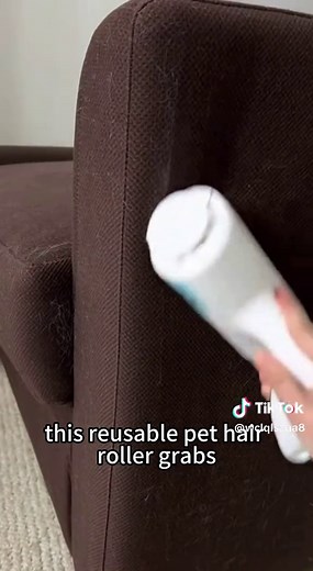 This Is Why Before and After Works #Delomo #pethairremoval #tiktokshopholidayhaul #petparentmusthave #cleantok