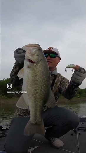 Mastering lake ray roberts: big catches & bass fishing adventures
