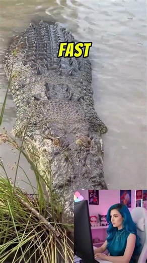 The Muddy Ghost of the River! 🐊👻 #crocodile #viral #shorts