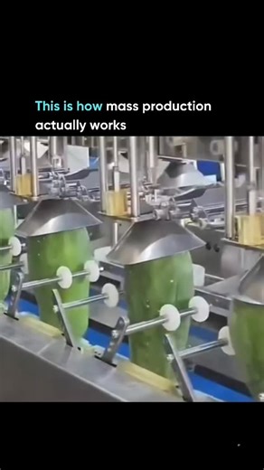 Learn AI | Tutorials, News & Future Tech on Instagram: "This is an automated industrial processing line designed to handle high-volume food production with extreme consistency. Each unit grips, aligns, and processes individual items at precise intervals, reducing human error while dramatically increasing throughput. Automation like this ensures uniform sizing, cleaner handling, and predictable output, something manual labor simply can’t maintain at this scale. Behind the scenes, synchronized mot