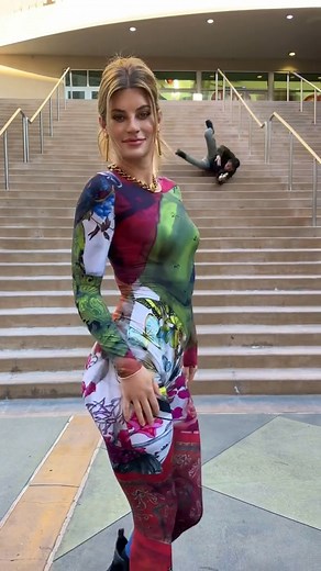 A Loyal King 🤩👑 >>> | Hannah Stocking