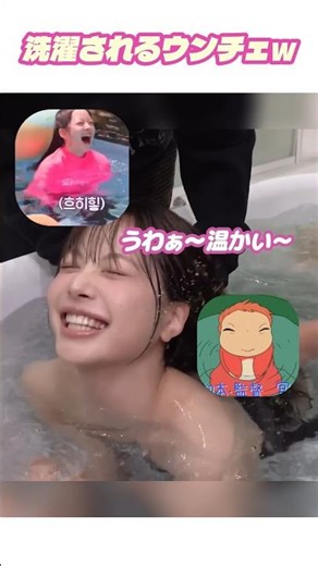 洗濯されるウンチェw #LESSERAFIM #ルセラフィム #ウンチェ