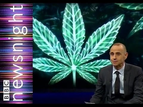 Can Cannabis oil reduce cancerous tumors? - Newsnight