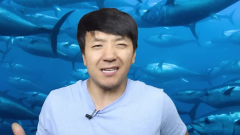 19 Ordinary Words With TERRIFYING & Surprising Origins