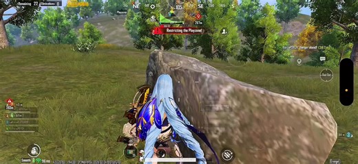 Understanding Sensitivity: Part 2 Insights