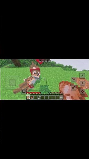 How to tame and breeding the wolf in Minecraft #minecraft