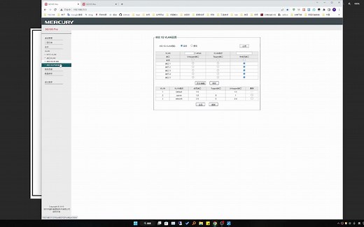 不同网段访问光猫及VLAN网络的PVID设置