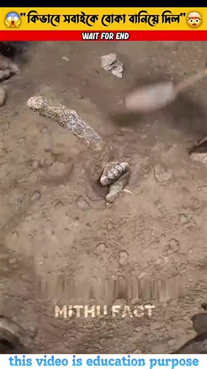 মূর্তি প্রতারণা: সবাইকে বোকা বানানোর গল্প