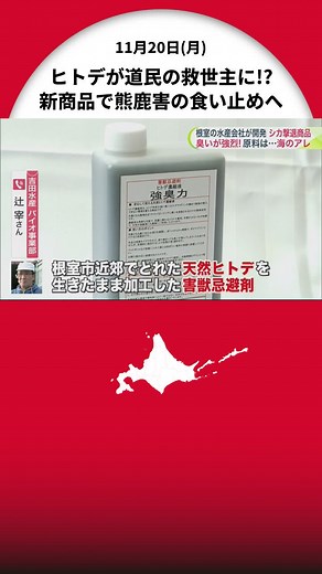 ヒトデが道民の救世主に!? 新商品で熊鹿害の食い止めへ#北海道 #北海道ニュースUHB #ヒトデ #tiktokでニュース