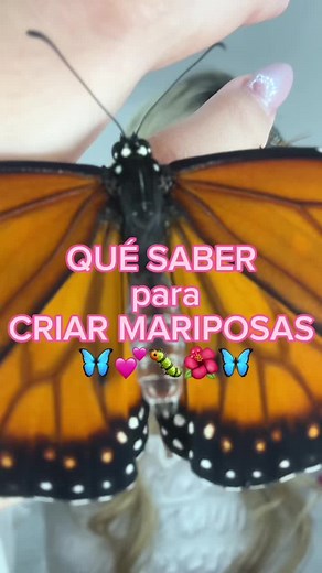 Plantas que Atraen Mariposas: Guía para Criar Mariposas