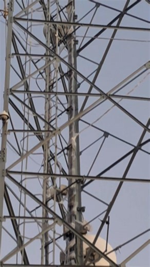 The #MTN Eiffel Cell Phone Tower beacon and scarecrow for endangered seabirds on #Penguinland Stony Point Penguin Colony - Betty's Bay #sanctuary #reserve #capeunnatural | Penguin SOS | Facebook