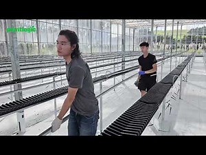 Plantlogic® | Hi-Grow Strawberry Growing System