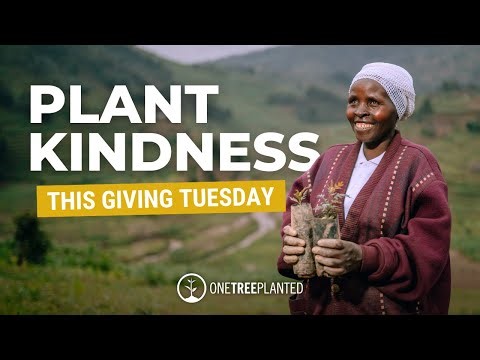 Plant Kindness This Giving Tuesday | One Tree Planted