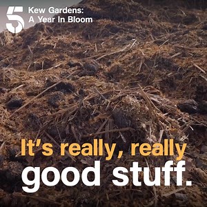 64K views · 311 reactions | "It's not dramatically rank, it's really good stuff." Dave runs what is believed to be the largest compost heap in the country. Watch Kew Gardens: A Year in Bloom on My5 | Channel 5 | Facebook