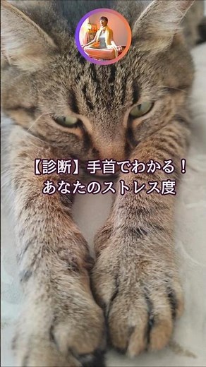 【診断】手首でわかる！あなたのストレス度 Vol.32