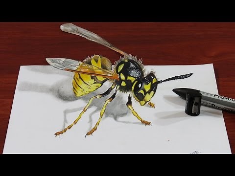 Drawing a 3D Wasp | 3D Trick Art