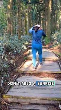 Is Jeju Island ACTUALLY Worth Visiting?