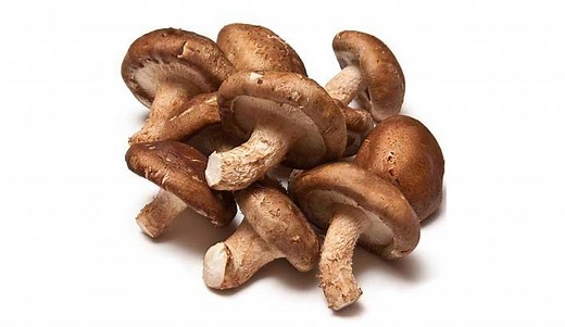 The Shiitake Mushroom – Lentinula edodes - The Malta Independent