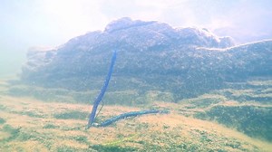 55K views · 166 shares | Do you know what your worm is doing underwater? See what happens when our Mag FattyZ goes head-to-head with a standard magnum size worm! | Z-Man Fishing Products | Facebook