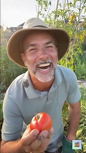 This Elephant Joke Is Pure Gold! 🐘 | Your Daily Dad Joke | Funny Jokes | Laugh Out Loud #dadjokes