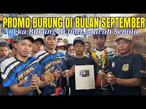 PROMO BURUNG DI BULAN SEPTEMBER !!! Cendet - Podang - Branjangan - Samyong - Opyor dan Laen"