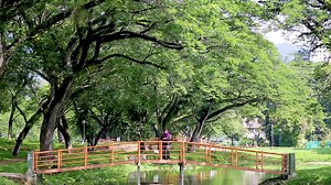 Universiti Sains Malaysia is offering a wide range of courses at undergraduate and postgraduate levels to more than 30,000 students. Offering excellent research, innovation, and education opportunities to both local and foreign undergraduates and postgraduates. | Universiti Sains Malaysia