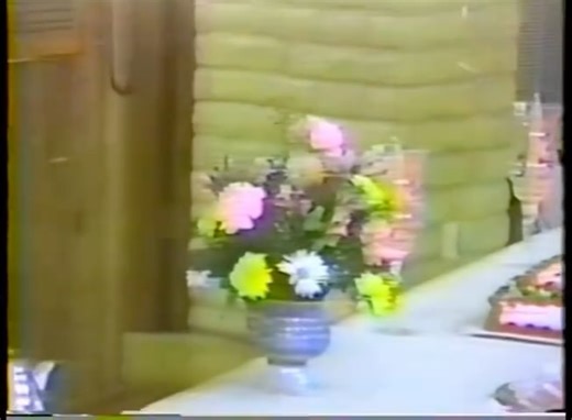 @joy_divizn on Instagram: "About a year ago I started buying random VHS tapes off eBay in hopes of finding home movies on them. This listing on eBay was called " mystery estate sale vhs" it came with 2 tapes one which was recorded television I think Johnny Carson . But this tape shows a lady by the name of fern and her 75th birthday party. She would be 110 today. We will never meet but I think it's interesting that we can celebrate her on this app 35 years later and she will never know . Happy b