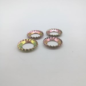 [Hot Item] Serrated Lock Washers External and Internal Teeth