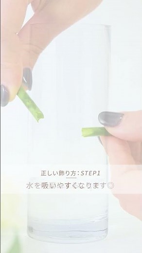 意外と知らない…？トルコキキョウの「正しい飾り方」💐 #花キューピット