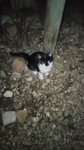 I have a busy nightlife...