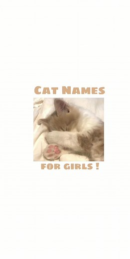 cat names for girls ! 🌷 #cats #catnames #girls #fyp #fypシ #fypppp #foryoupage
