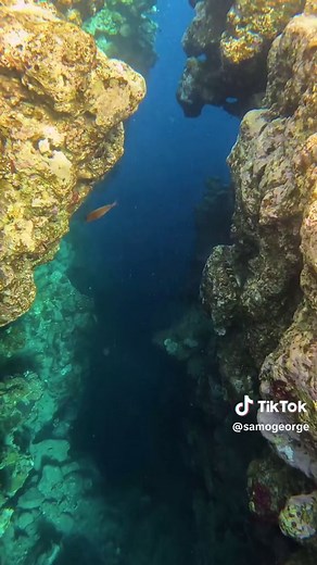 130M Underground Dive in Blue Hole, Dahab, Egypt - Explore Egypt's Hidden Beauty