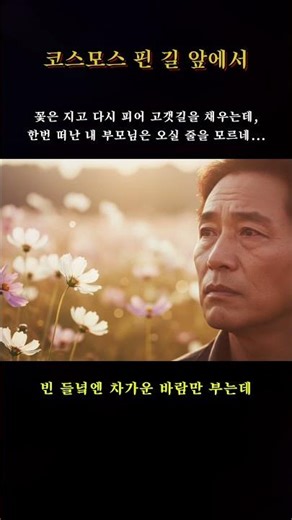 [정통트로트] 코스모스 핀 길 앞에서.. 이 노래 들으면 눈물이 멈추지 않습니다 😭 [정통트로트] #shorts