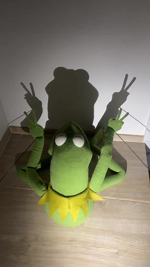 Kermit the Frog Shadow Dance Performance