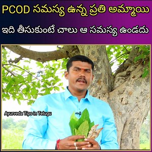 55K views · 1.2K reactions | PCOD సమస్య ఉన్న ప్రతి అమ్మాయి ఇది తీసుకుంటే చాలు | health tips. #health #healthtips | Ayurveda Tips In Telugu | Facebook