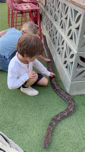 Must slither to safety