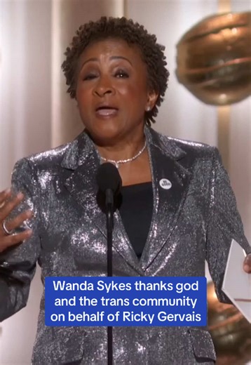 Wanda Sykes Celebrates Diversity at the Golden Globes