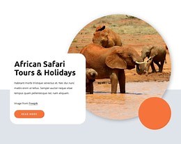 African safari and tours - HTML5 Template by Nicepage