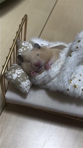 deat из politforums.net