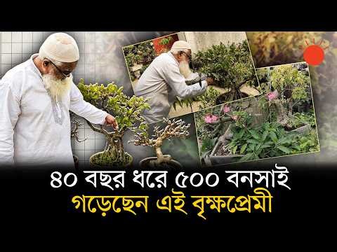 বনসাইয়ের ‘জাদুকর’ হাসান ফিরোজ, ভালোবাসেন সন্তানের মতো | Bonsai Tree | News | Prothom Alo