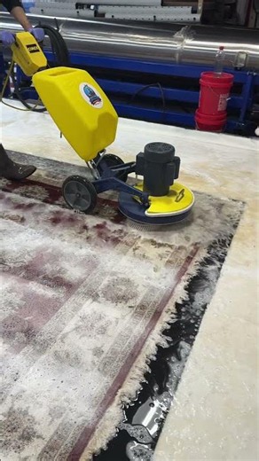 This Is Why You Need Real Rug Cleaning #oddlysatisfying #satisfying #beforeandafter