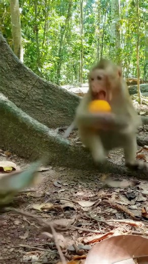 A monkey jumps as a giant python rises from the roots 🐍🐒