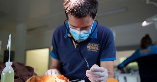 Clinique vétérinaire et centre de recherche