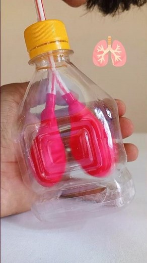 DIY Lungs Model That Actually Works! | Easy Respiratory System Science Project #diy #shorts