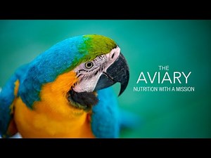 The Aviary Parrot Food | The Ultimate Parrot Diet Is Now Here | SHELBY THE MACAW