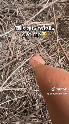 It’s impossible that I’ve found this one…😂 #business #golf #golfing #golfer #golfballs