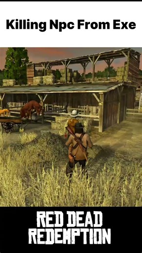 Killing NPC From Axe #reddeadredemption