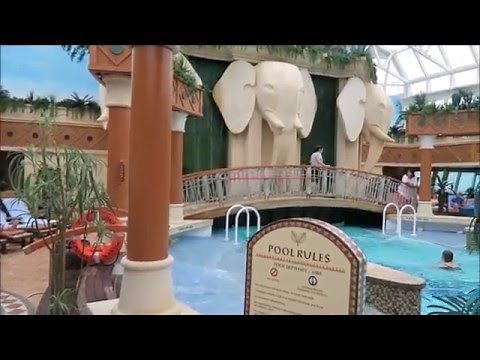 Radiance of the Seas Comprehensive Tour